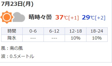 4.1武藤らら - コピー - コピー.JPG