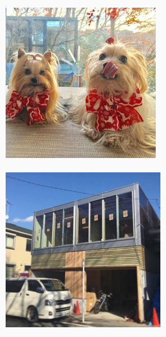 2019-02-08.png