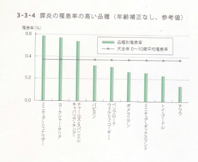 0 - コピー.jpg