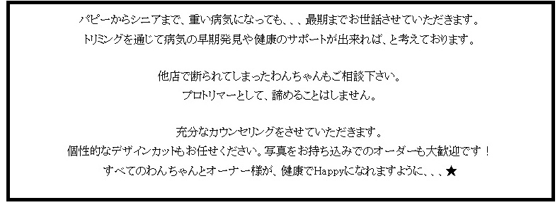 0 - コピー.jpg