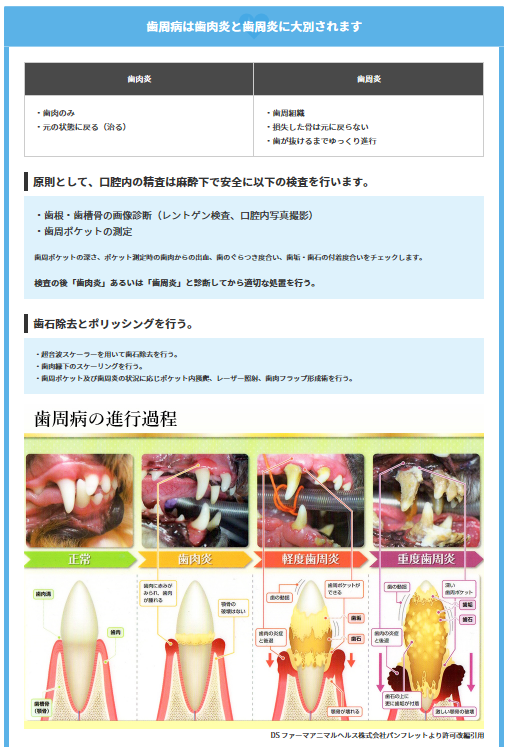 2019-01-16 (2).png