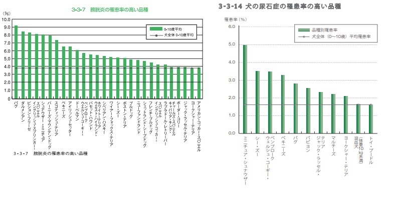 ２０１０ - コピー.JPG