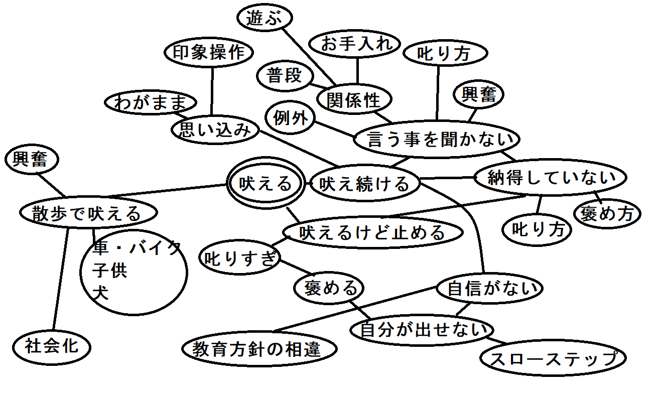 2021-01-24 (1).png