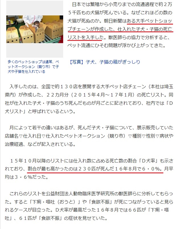 クーリク.jpg