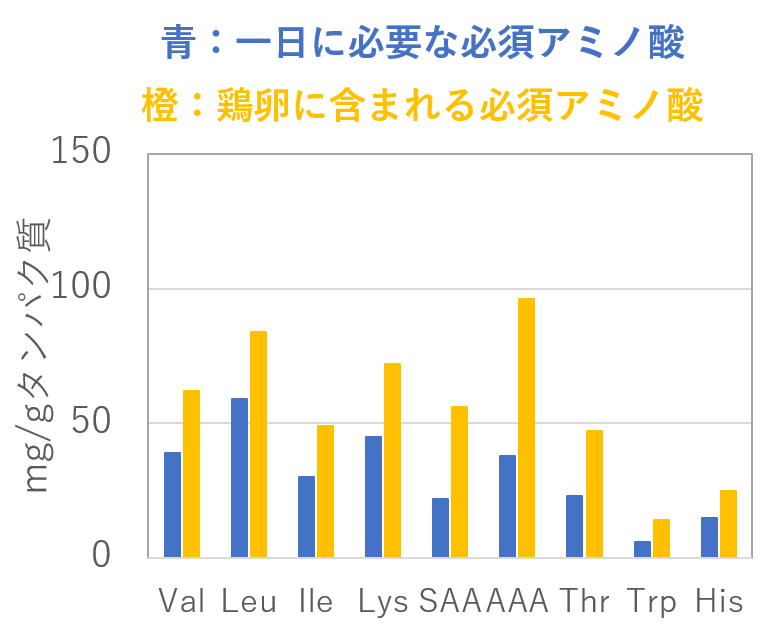 鶏卵のアミノ酸スコア[1].png