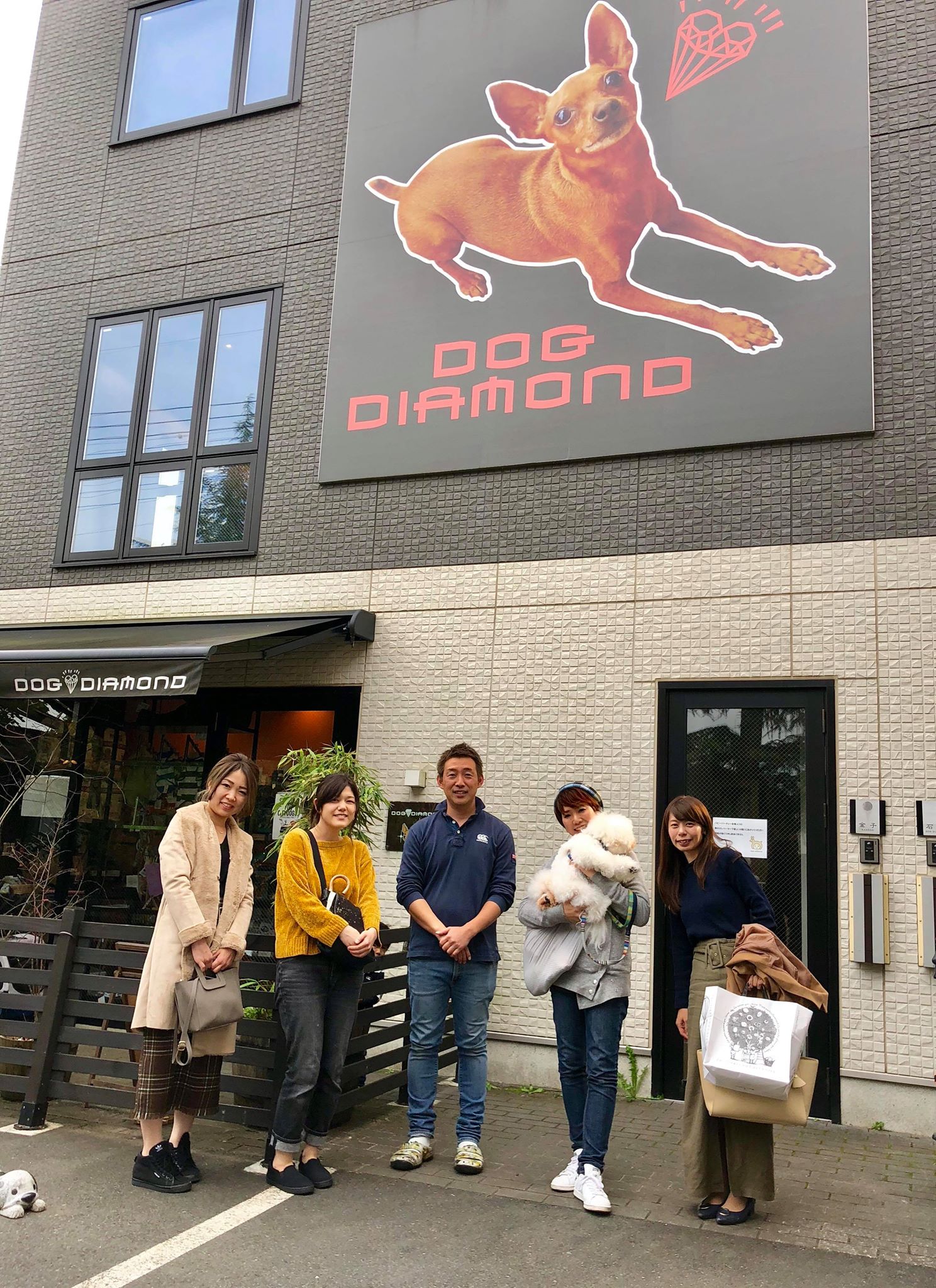 ペットホテル パピーパーティ 犬の保育園(dog nursery)｜DOG DIAMOND｜ドッグダイヤモンド 動物病院との付き合い方