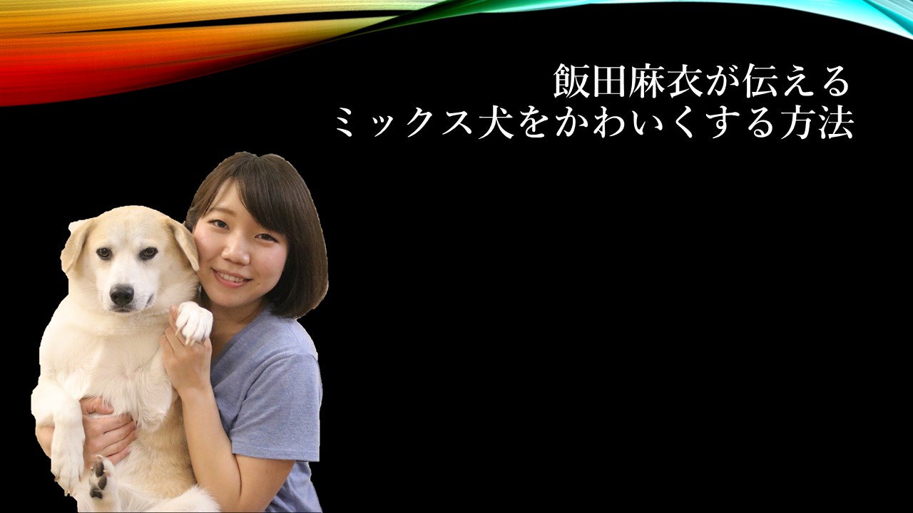 スライド55.JPG
