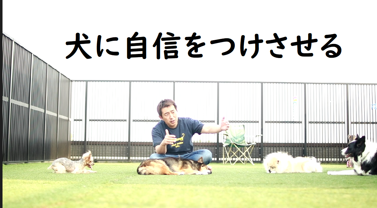 スクリーンショット 2019-06-06 21.12.19.png