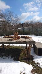 AE08D493-5876-4CB4-A15C-271AE585160F.jpeg