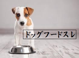 ドッグフードスレ.jpg