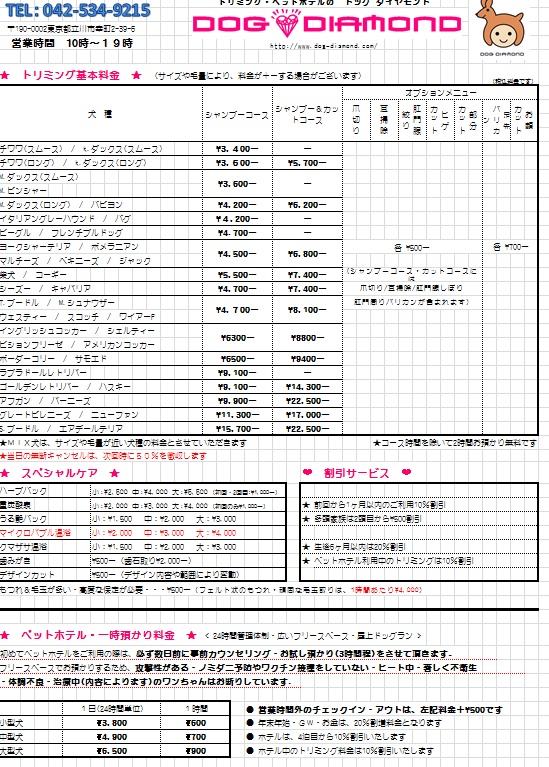 4.1武藤らら - コピー.JPG