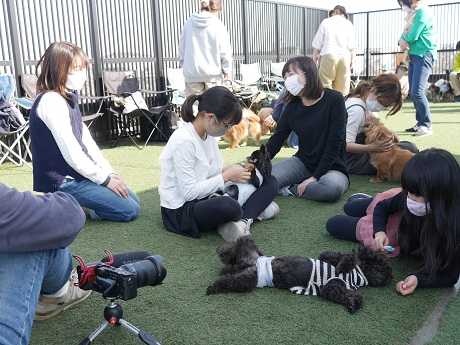 460px x 345px - ãƒšãƒƒãƒˆãƒ›ãƒ†ãƒ« ãƒ‘ãƒ”ãƒ¼ãƒ‘ãƒ¼ãƒ†ã‚£ çŠ¬ã®ä¿è‚²åœ’(dog nursery)ï½œDOG DIAMONDï½œãƒ‰ãƒƒã‚°ãƒ€ã‚¤ãƒ¤ãƒ¢ãƒ³ãƒ‰ :: ï¼‘ã‚’ä¼ãˆã¦ï¼‘ï¼ã‚’ç†è§£ã™ã‚‹ã€‚