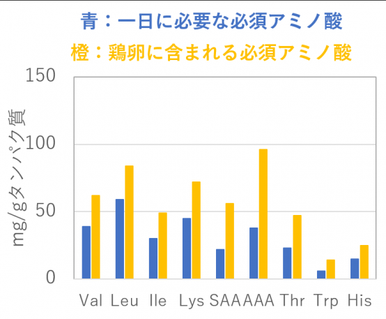 鶏卵のアミノ酸スコア[1].png