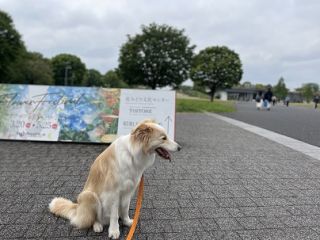 教育の質を求める権利