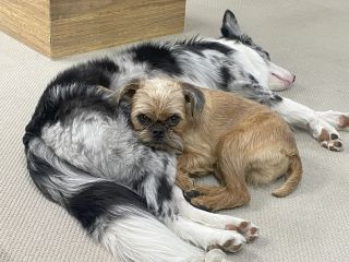 培ったブランド力