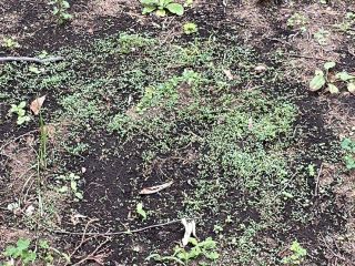 不満がエネルギーという非効率