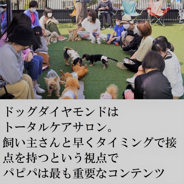 ペットホテル パピーパーティ 犬の保育園(dog nursery)｜DOG DIAMOND｜ドッグダイヤモンド パピーパーティー再開します pic picture