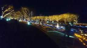 1512999251713.jpg