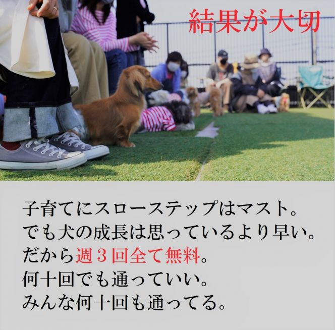 Www Noughtyamericam Animal Com - ãƒšãƒƒãƒˆãƒ›ãƒ†ãƒ« ãƒ‘ãƒ”ãƒ¼ãƒ‘ãƒ¼ãƒ†ã‚£ çŠ¬ã®ä¿è‚²åœ’(dog nursery)ï½œDOG DIAMONDï½œãƒ‰ãƒƒã‚°ãƒ€ã‚¤ãƒ¤ãƒ¢ãƒ³ãƒ‰ :: ãƒ‘ãƒ”ãƒ¼ãƒ‘ãƒ¼ãƒ†ã‚£ãƒ¼å†é–‹ã—ã¾ã™