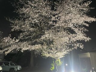 手の内を明かす