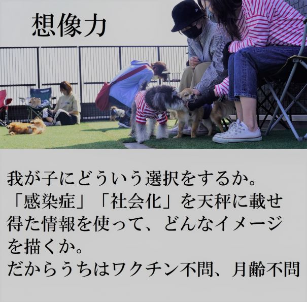 605px x 595px - ãƒšãƒƒãƒˆãƒ›ãƒ†ãƒ« ãƒ‘ãƒ”ãƒ¼ãƒ‘ãƒ¼ãƒ†ã‚£ çŠ¬ã®ä¿è‚²åœ’(dog nursery)ï½œDOG DIAMONDï½œãƒ‰ãƒƒã‚°ãƒ€ã‚¤ãƒ¤ãƒ¢ãƒ³ãƒ‰ :: ãƒ‘ãƒ”ãƒ¼ãƒ‘ãƒ¼ãƒ†ã‚£ãƒ¼å†é–‹ã—ã¾ã™